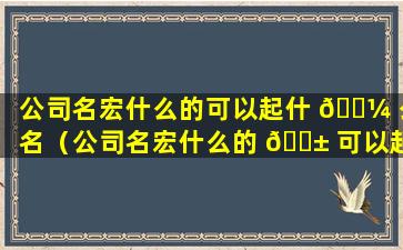 公司名宏什么的可以起什 🌼 么名（公司名宏什么的 🐱 可以起什么名字好）